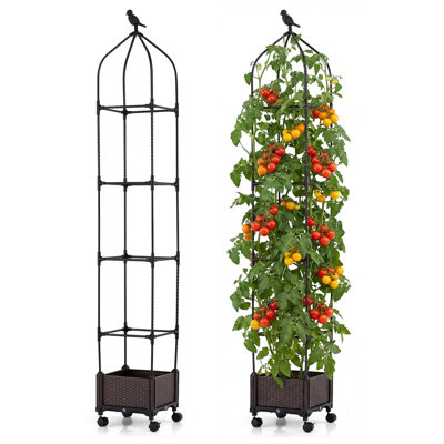 Winston Porter 2 Pcs Raised Garden Bed Tomato Cage Planter Box With Pe-coated Metal Trelli Wheels