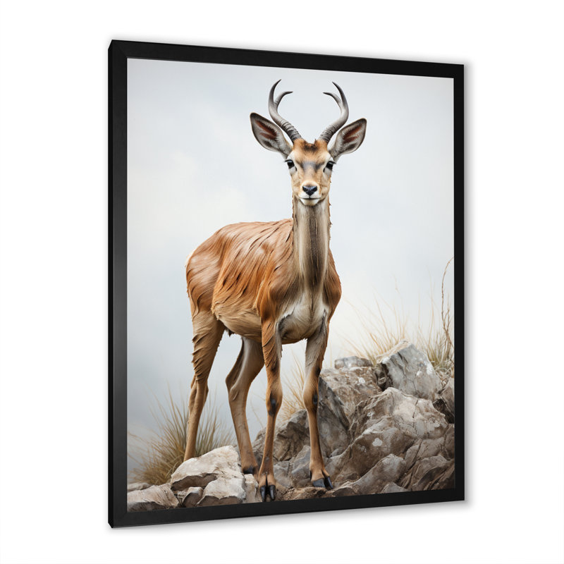 Graceful Antelope III - Imprimé, Cadre d'angle fermé noir, H 32 po x l 24 po x P 1 po