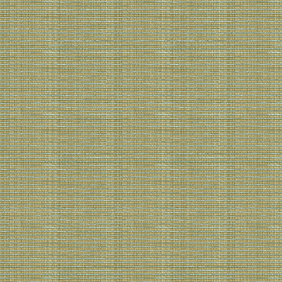 Texture Fabric