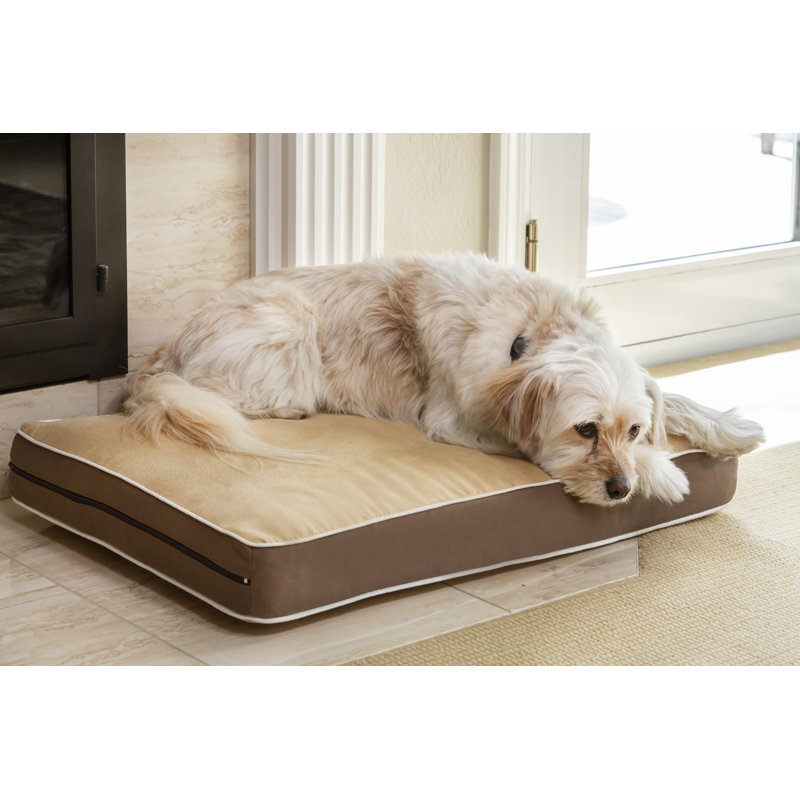 Southwick Dog Crate Cushion with Removable Cover, Medium (26.5" W x 19" D x 3.5" H)