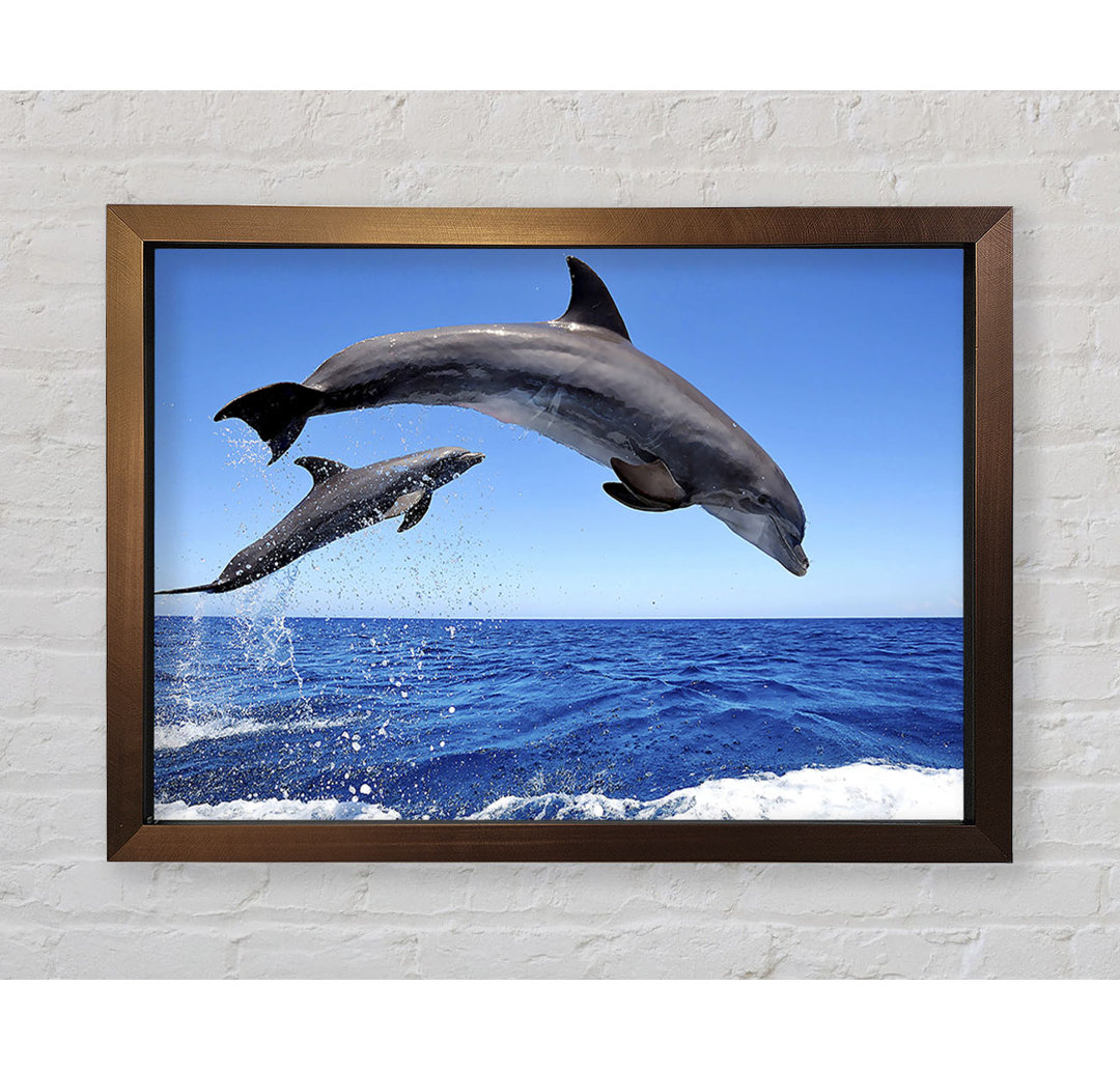 Gerahmtes Bild Common Bottlenose Dolphins