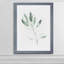 « simple sage ii »-cadre photo imprimé sur verre-1626722276-1626722299