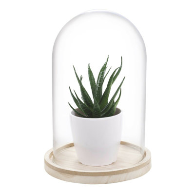 Landscape & Nature Cloche Or Water Globe