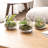 Jaymin Mini Air Plant Glass Terrarium