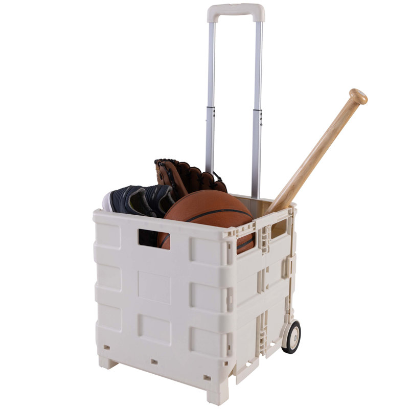 Sponge Holder