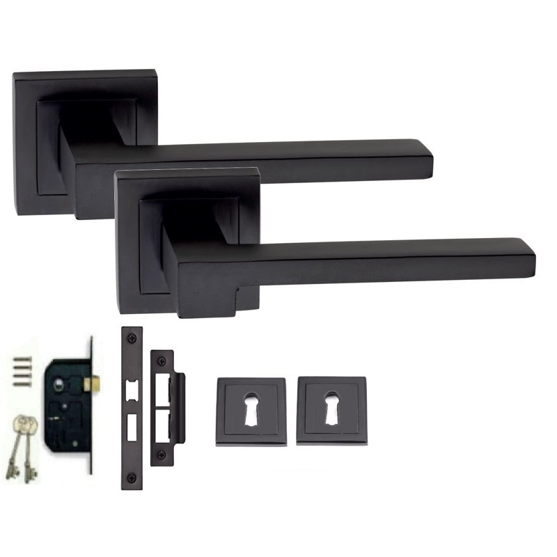 Latch Handle with Backplate