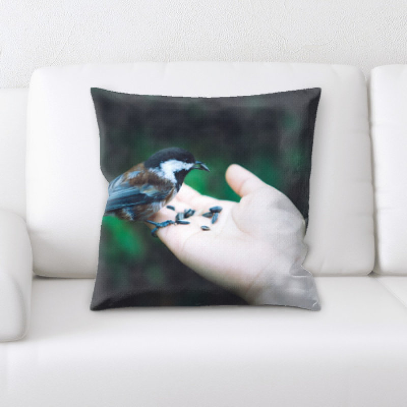 Coussin oiseau