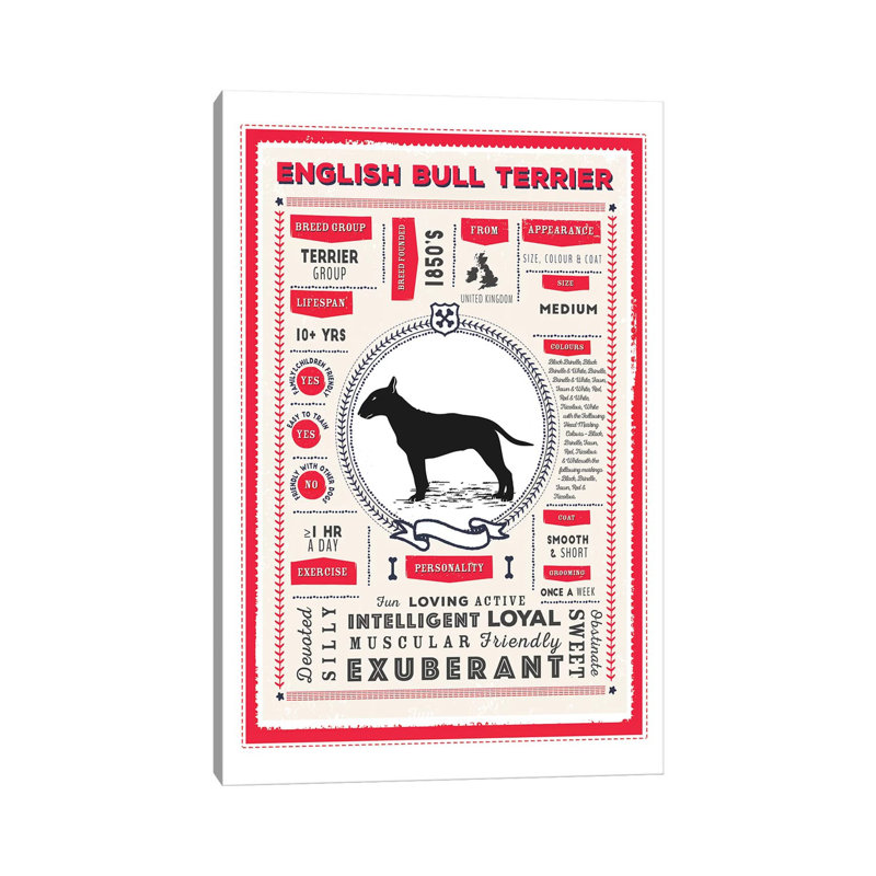 «English Bull Terrier Infographie Red» par PaperPaintPixels, impression sur toile tendue, H 26 po x l 18 po x 1,5 po