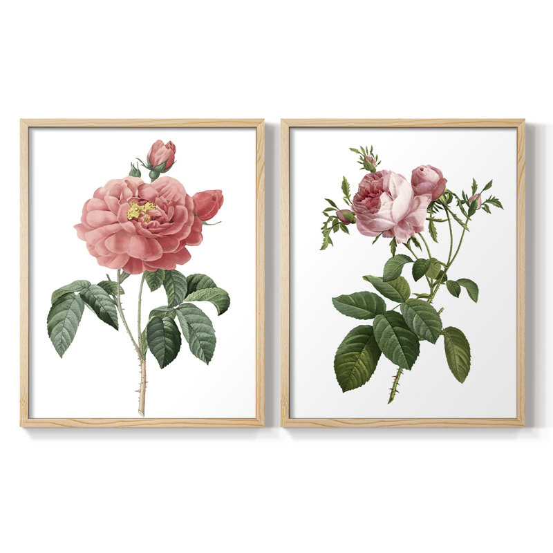«Botanical Beauty III», reproduction encadrée de qualité supérieure - prête à être accrochée - aucun clou requis - aucun clou requis