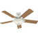 Pro's Best 52" 5 - Blade Ceiling Fan with Pull Chain and Light Kit Included