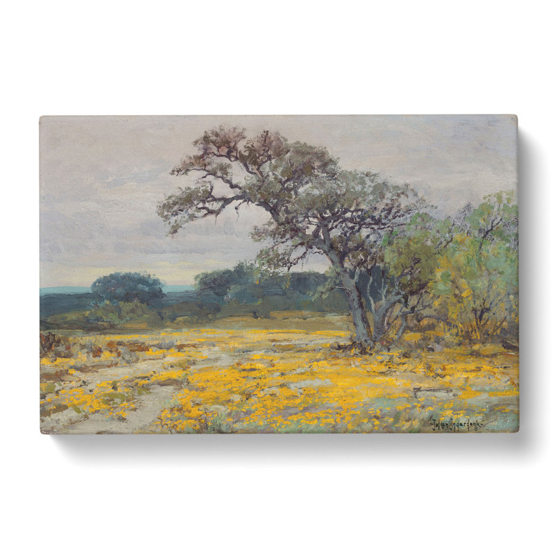 Coreopsis by Julian Onderdonk - Wrapped Canvas, 35cm H x 50cm W x 3cm D