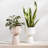 Juba Ceramic Urn Planter-66025540-66025538