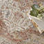 Casmera Oriental Area Rug-996336058