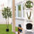 63"H Artificial Olive Tree 1pc/set