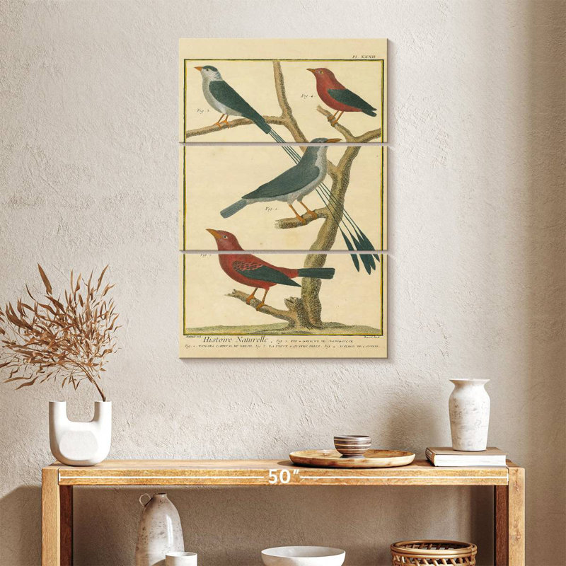 Brampt Bird Drawing I, 38" H x 24" W