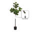 Figuier en figuier avec pot Portell-840316643-840316665
