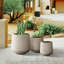 Pot à fleurs Khoi-306469220