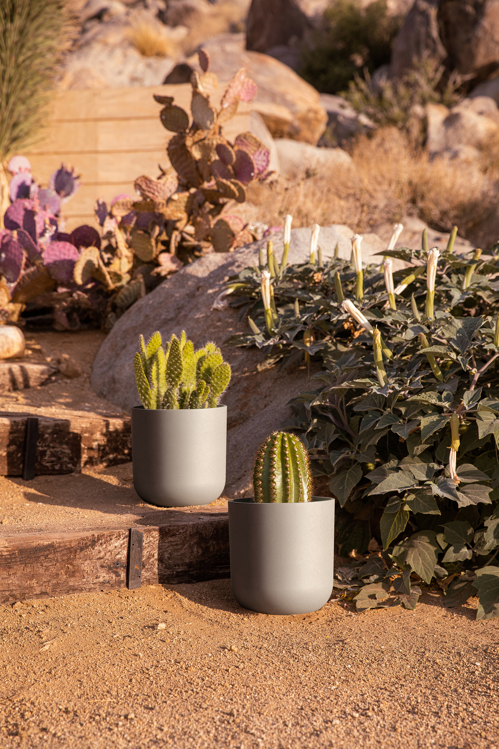 Mason Series Kona Planter | Modern Style | AllModern