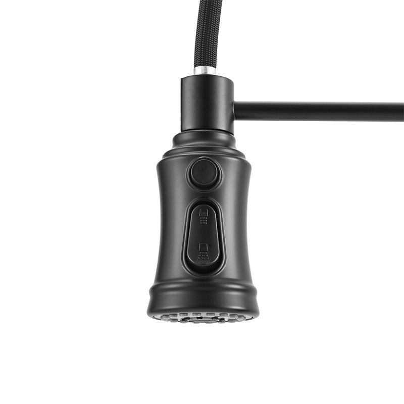 Belfry Kitchen Pull Out Kitchen Faucet, Black