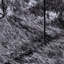 Shaggy Rug High Pile NAVARRA Dark Grey Polyester-88997841