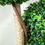 Anaruth 90cm Faux Boxwood Plant in Pot