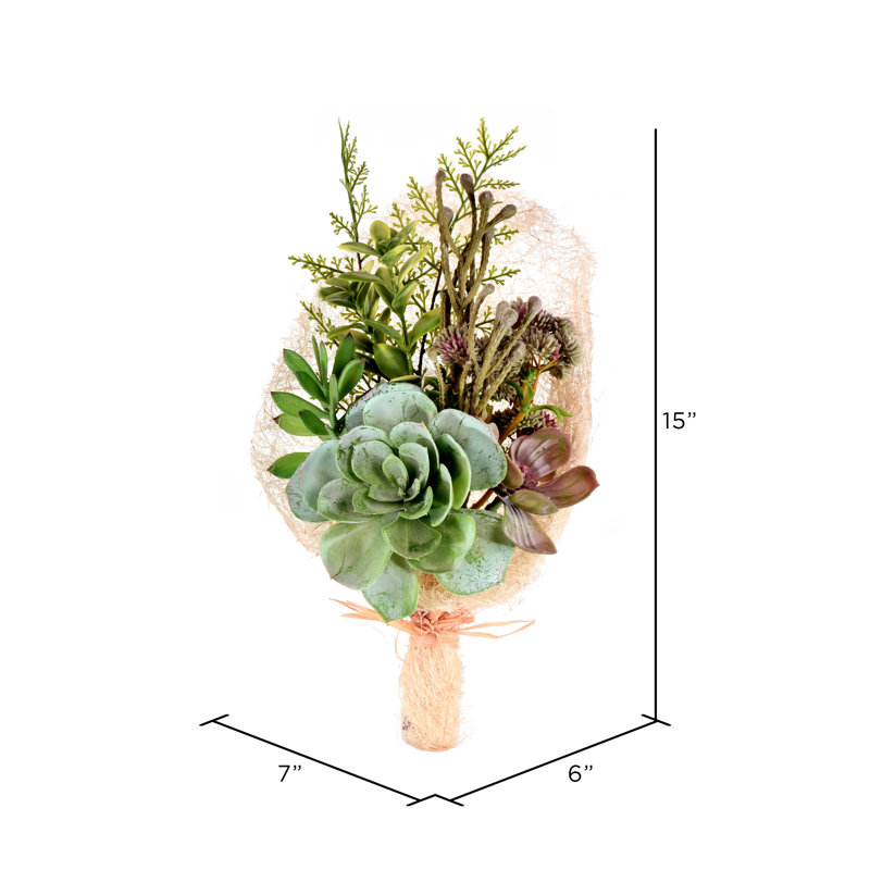 Succulent Arrangement
