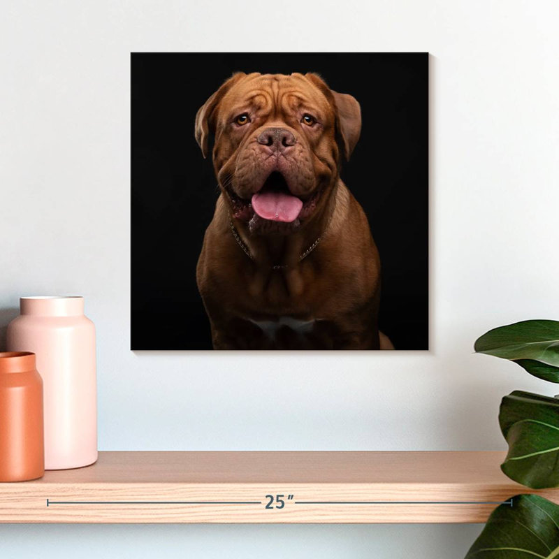 Crowle Bordeaux Mastiff Dog