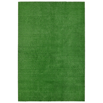 Ashkhen Indoor / Outdoor Rug