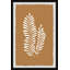 Growing Ferns - Single Picture Frame Print-1320166658