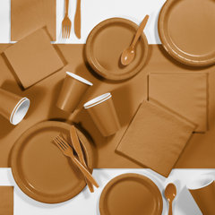 Wayfair  Creative Converting Disposable Tableware You'll Love in 2023