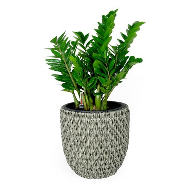 Pot à fleurs avec réservoir Delshire, Gris, H 14,6 po x l 14,6 po x P 14,6 po