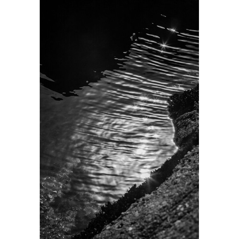 Tidal Pool Print, Black Framed, 40" H x 28.5" W