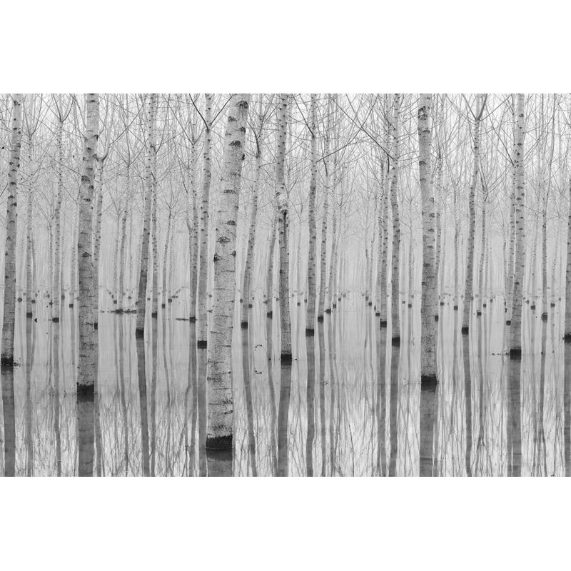 Wrapped Canvas Print, 50.8 cm H x 76.2 cm W