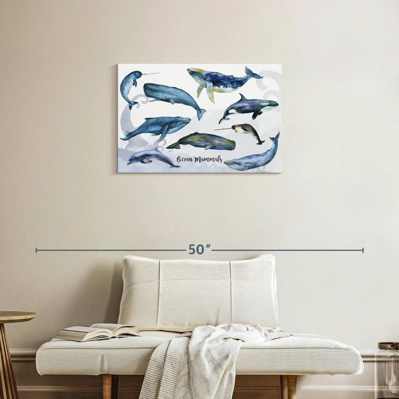 Brampt Ocean Mammals Chart, 20" H x 30" W