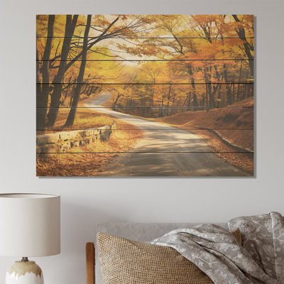 Golden Autumn Road Into The Forest III - Route sur bois