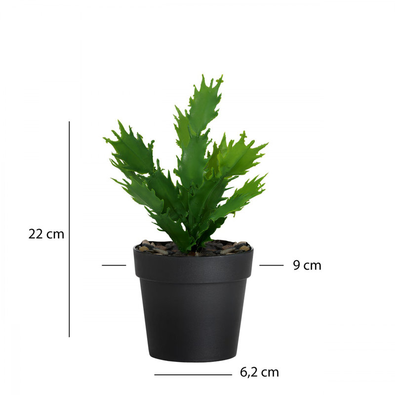 Cisneros Decorative Plastic Pot, Black & Green, 8.3 inches Height x 3.5 inches Upper Diameter x 2.4 inches Lower Diameter | Lightweight & Durable Design, Perfect for Indoor Plants & Home Décor, Versatile & Stylish
