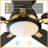60'' Ceiling Fan with LED Lights