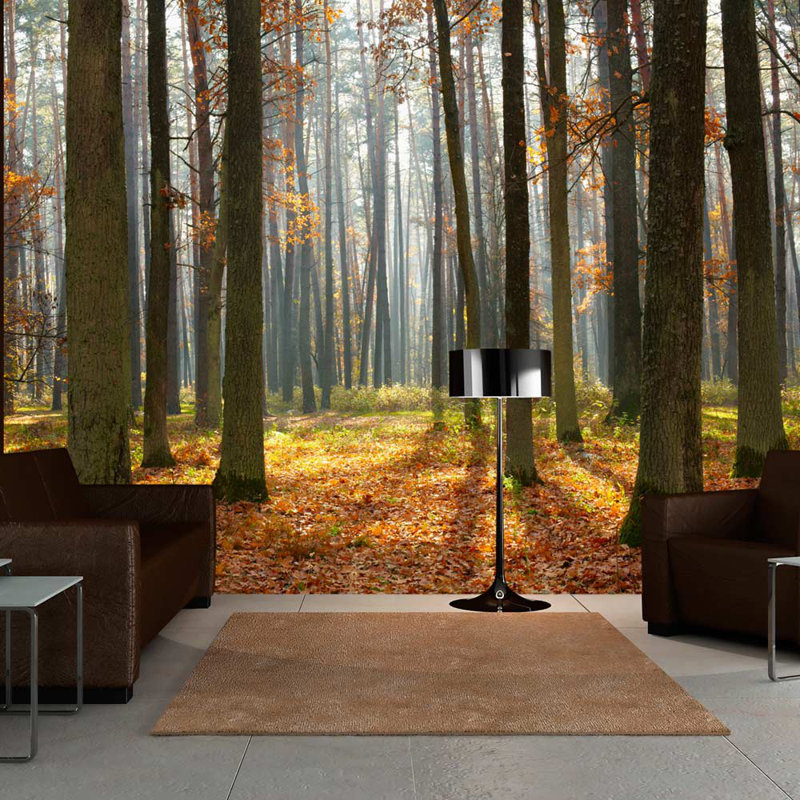 Autumn Trees 2.70m x 350cm Wallpaper, 400 cm x 309 cm