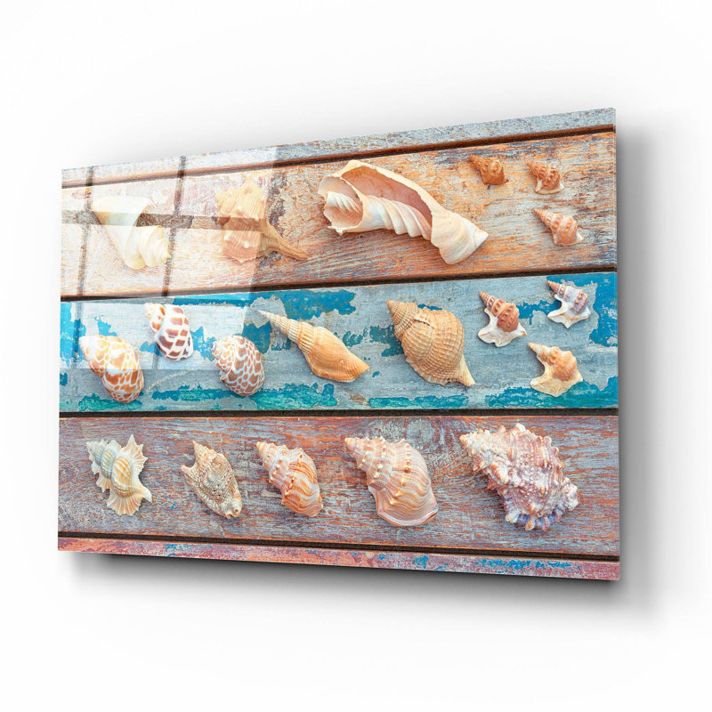 Art mural en verre Dovecove «Sea Snail Shells» par Cora Niele, H 12 po x l 16 po x P 0,2 po