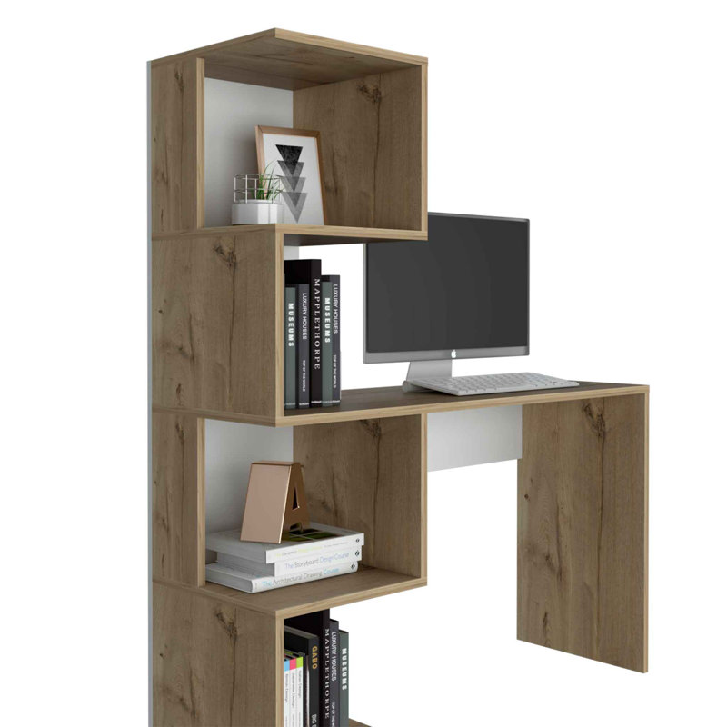 Bureau Jayleeana, Brun
