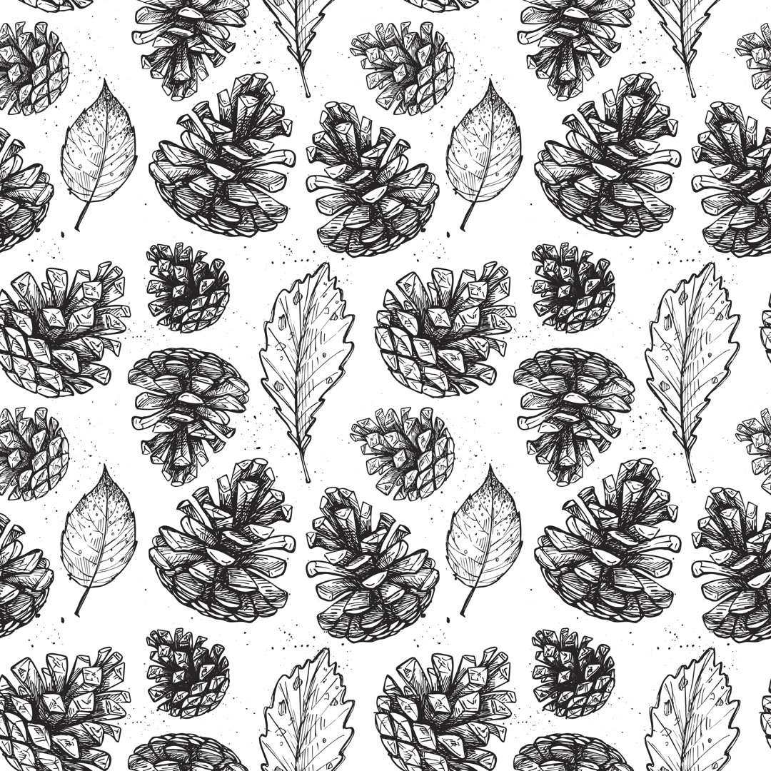 Leinwandbild Pattern with Pine Cones von Kate_Sun