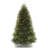 10ft. Dunhill Fir Tree
