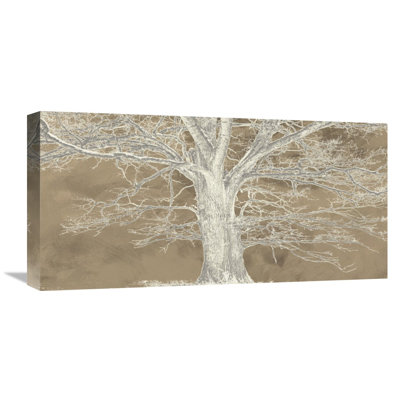 " White Oak " by Alessio Aprile