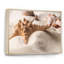 Étoile de mer et coquillage sur sable clair - photographie sur toile-67418214-67418227