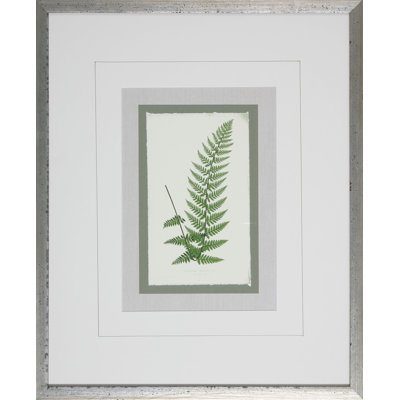 Fern8 Print