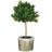 12'' Faux Boxwood Tree