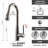 Dowell Pull Out Kitchen Faucet