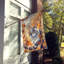 Chat en feuilles d'automne-112700462