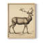 Vintage Animal VII - reproduction de cadre de coin fermé-2136004208-2136004210
