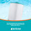 Filtres de remplacement pour spa